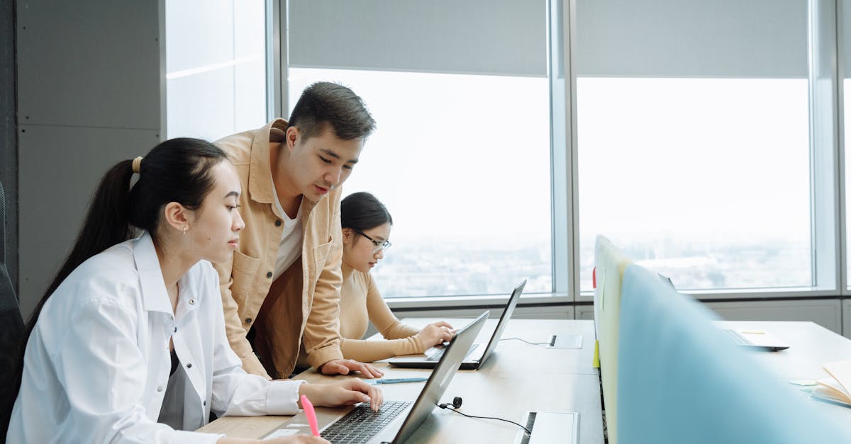 在线双语服务团队：拍拍贷app官方详情下载教程