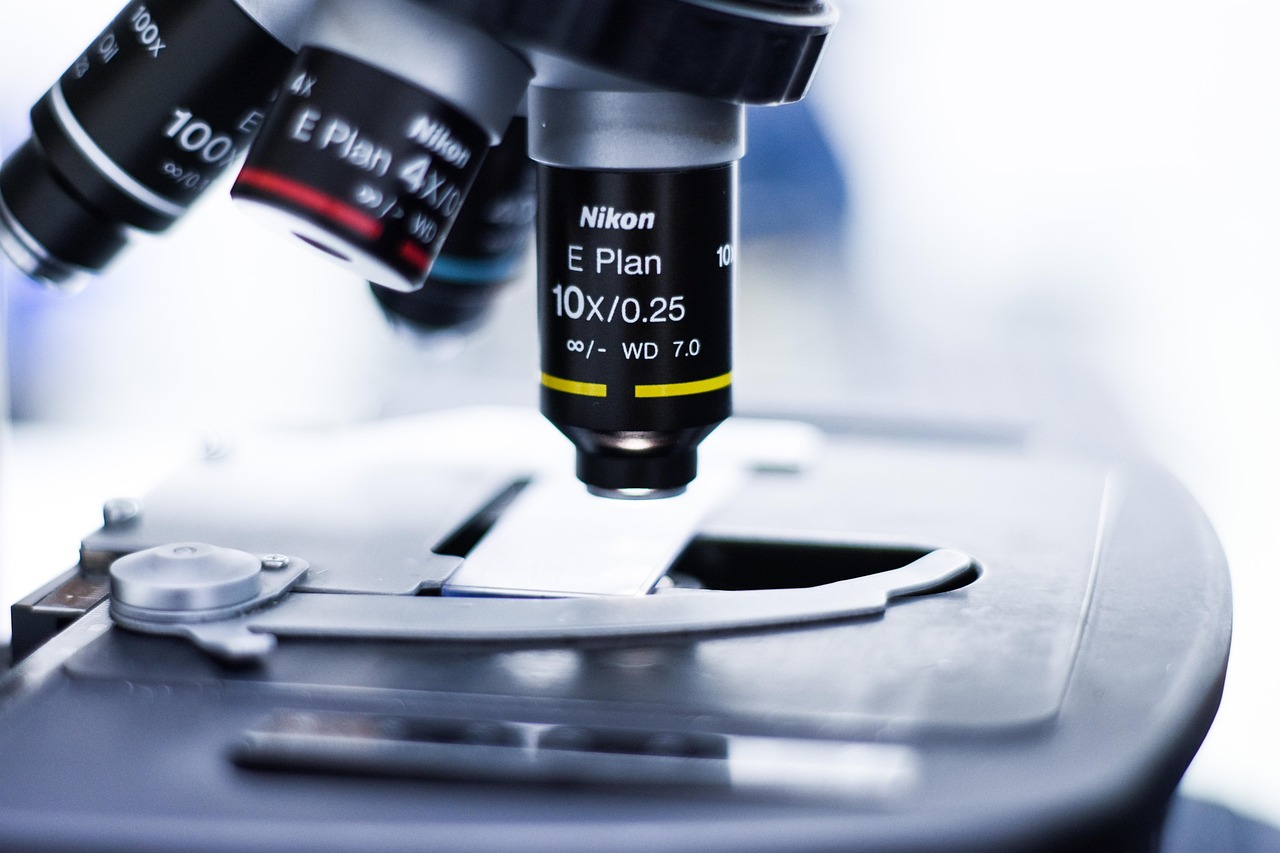 新寻仙：游侠网游戏详情下载教程app