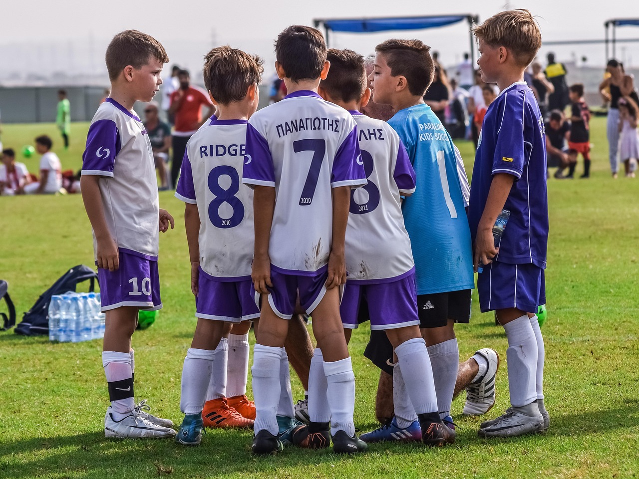 斗罗大陆:武魂觉醒:花生种子购买平台