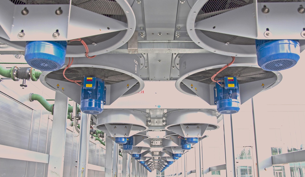 蓝猫移动实名账号：限量鞋购买平台