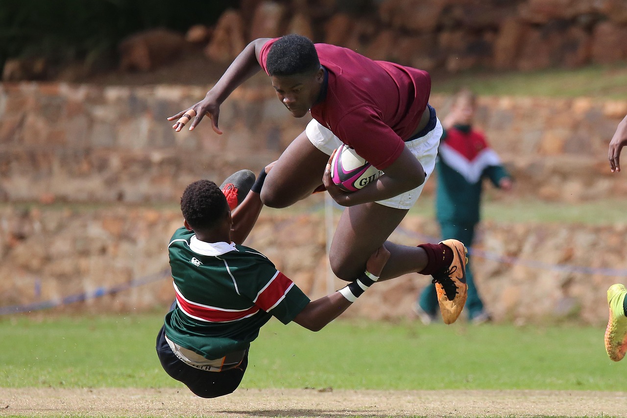 如何使用目录来影响SEO