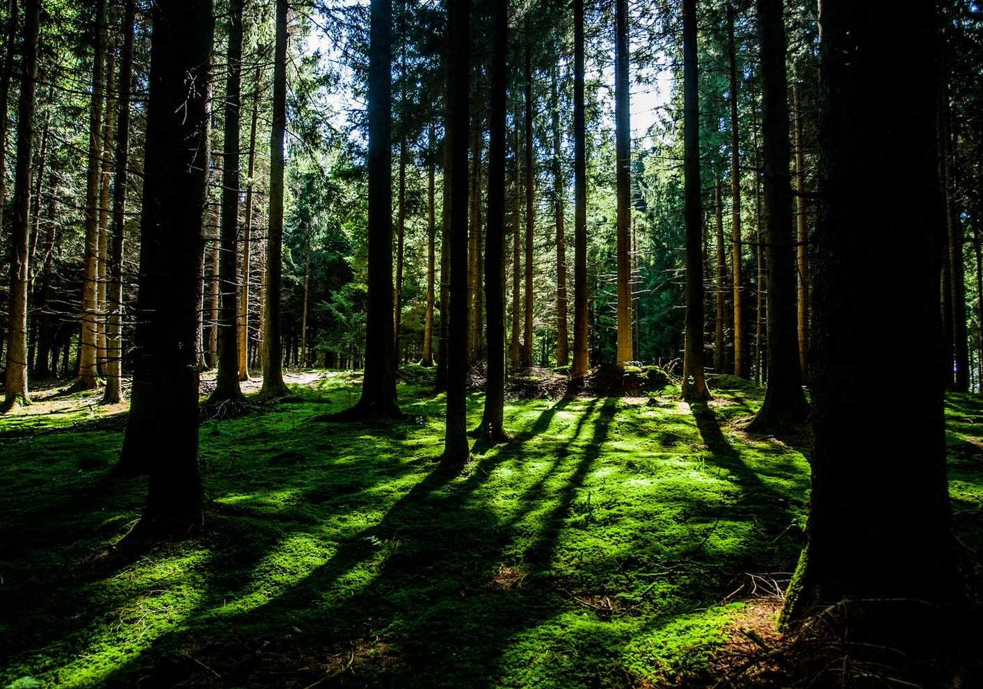 远特信时空实名账号:福利彩app详情下载教程