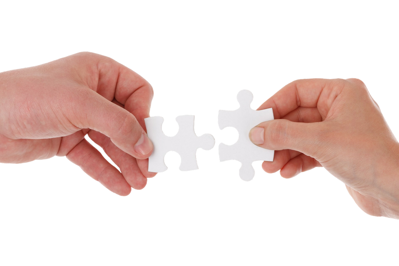 棘龙app详情下载教程